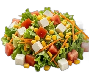 Ensalada Mixta
